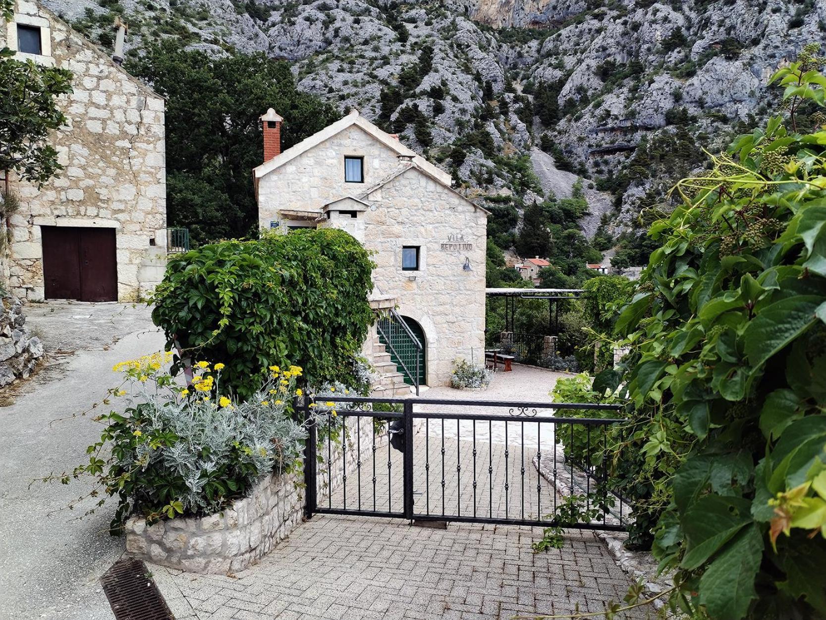 Bepo I Ivo